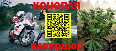 стаф Краснознаменск