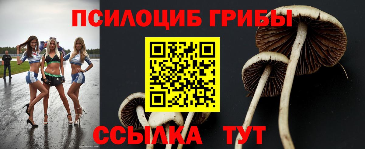 Кандалакша  купить  цена  Вход с VPN  Псилоцибиновые грибы GOLDEN TEACHER 